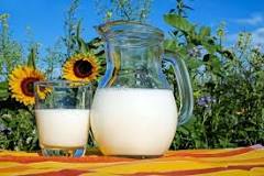 leche sin lactosa mercadona ingredientes